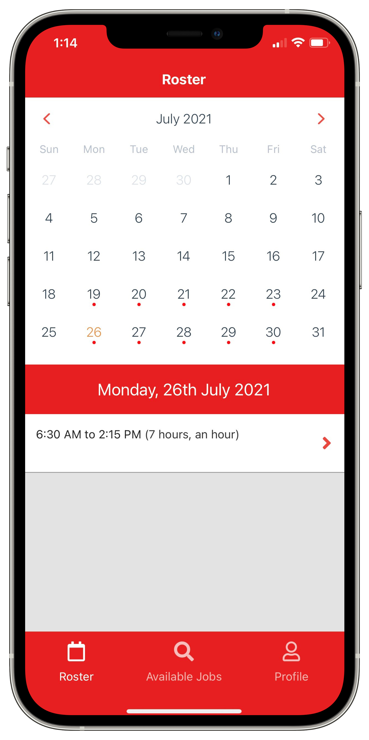 iPhone 12 Pro Max - Silver - Vertical LP-variant Roster